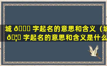 城 🐋 字起名的意思和含义（城 🦟 字起名的意思和含义是什么）